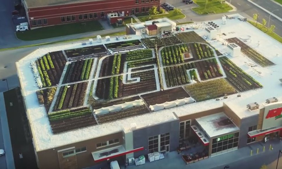 Kanados parduotuvė prekiaus ant savo pastato stogo užaugintomis daržovėmis