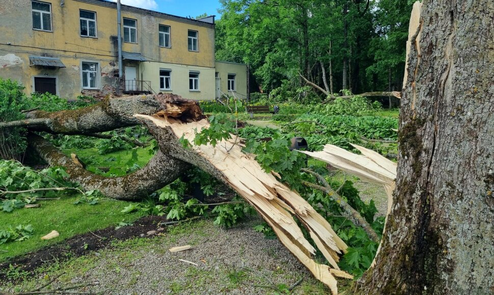 Viesulo nusiaubtas Antanavo dvaro parkas
