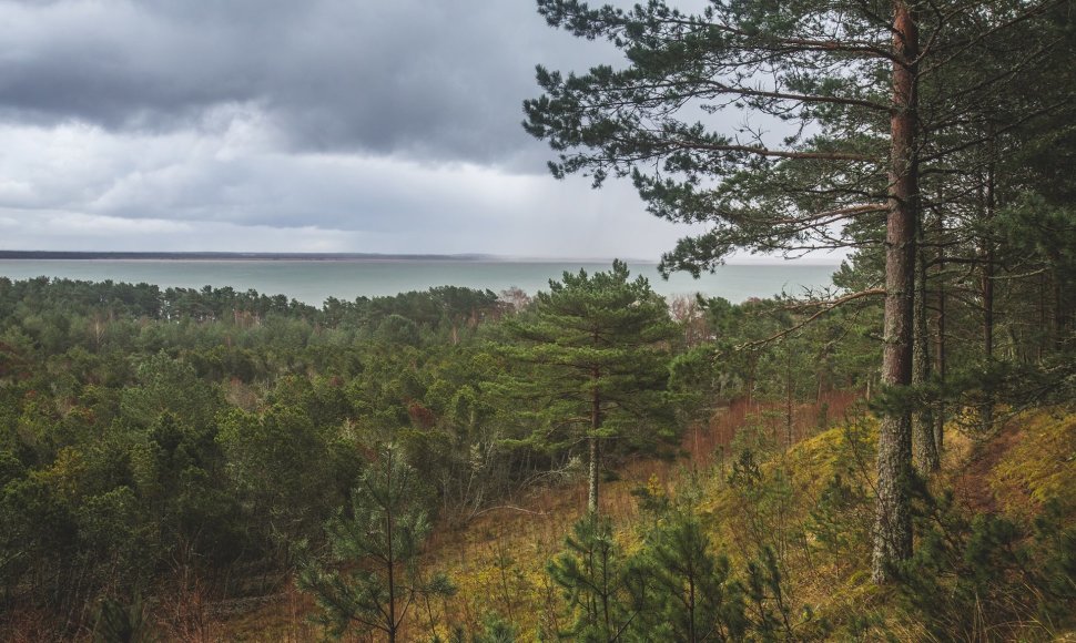 Kuršių nerijos nacionalinis parkas