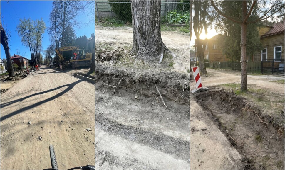 Vykdant J.Mateikos g. Kaune remonto darbus, manoma, buvo pažeisti medžiai