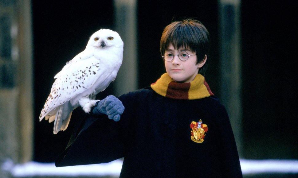 Danielis Radcliffe'as „Haris Poteris ir išminties akmuo“