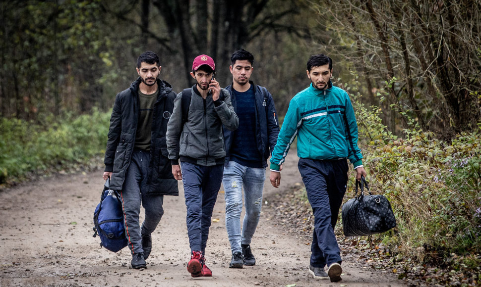 Migrantai, nelegaliai patekę į Lietuvą, eina per Musteikos kaimą (Varėnos r.) 
