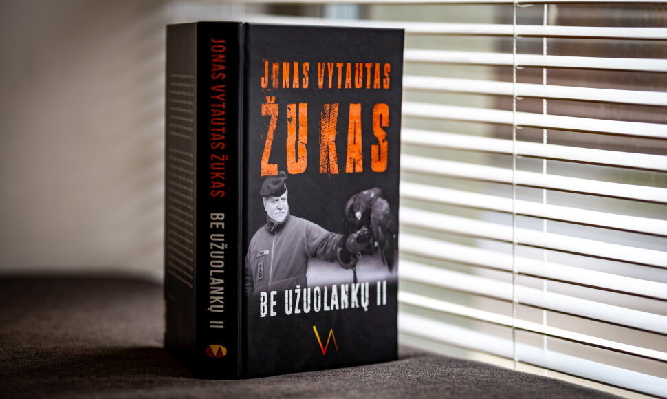 Jonas Vytautas Žukas "Be užuolankų II"