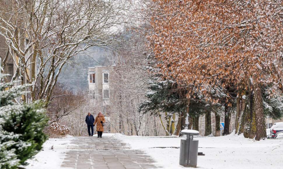 Vilniuje viskas pasidengė puriu sniegu