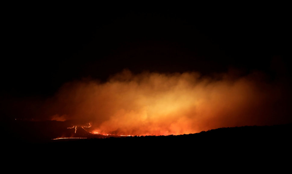 Įtariama, kad gaisras nacionaliniame parke buvo sukeltas tyčia
