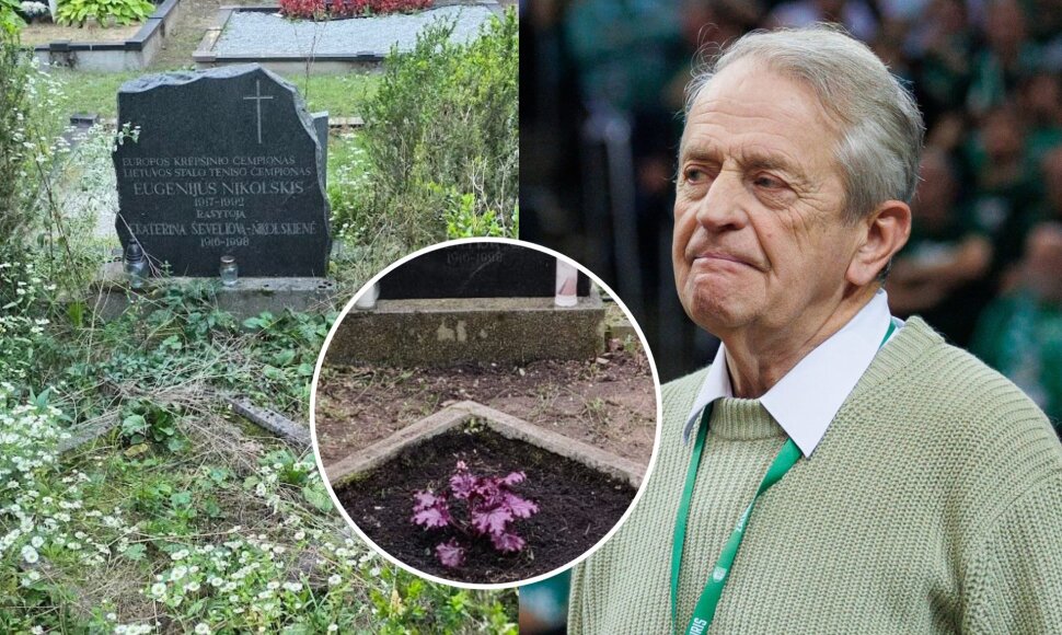 Eugenijaus Nikolskio kapas, Vidas Mačiulis