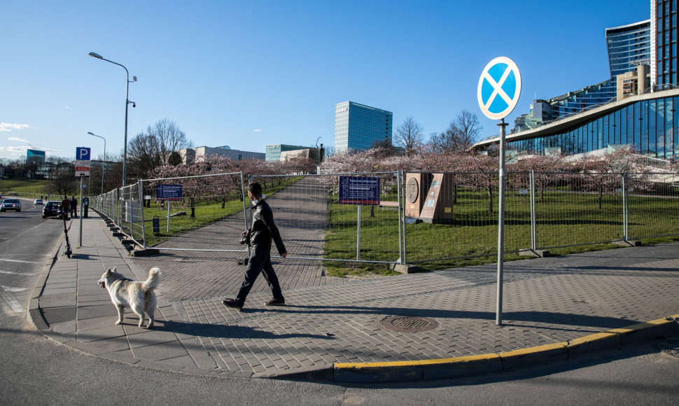 Vilniuje uždarytas sakurų parkas