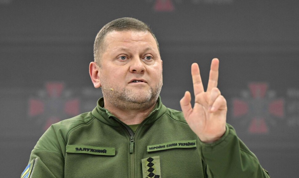Valerijus Zalužnas / AFP