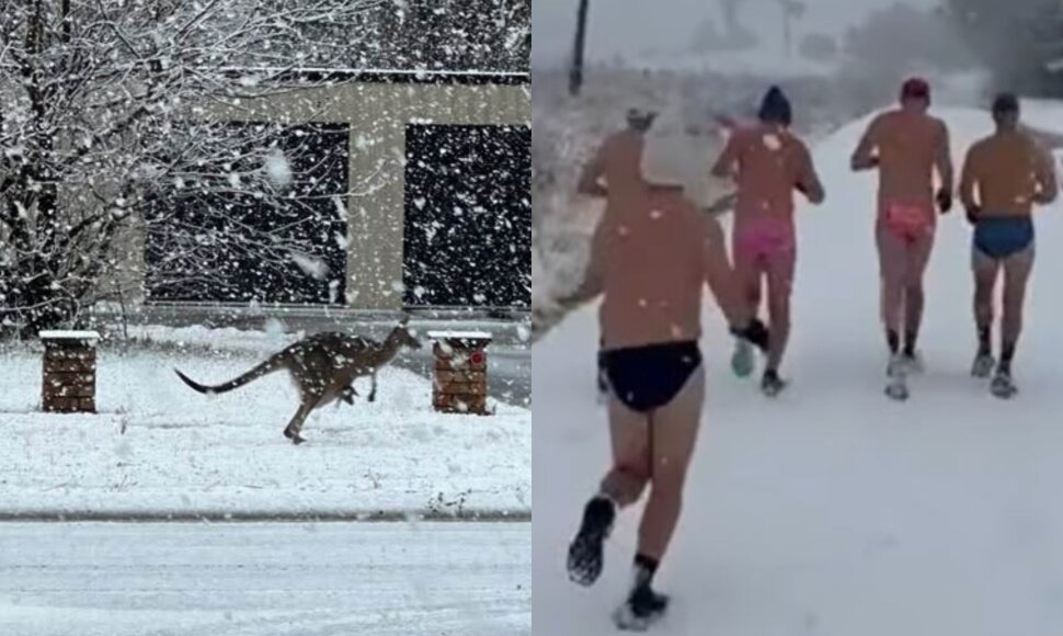 Sniegas Australijoje