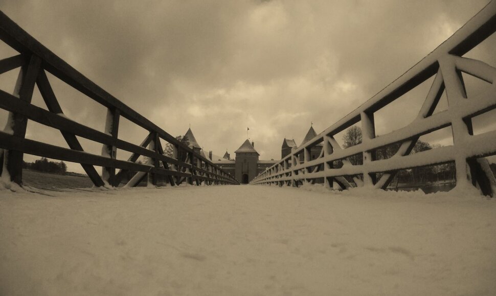 Trakų pilis