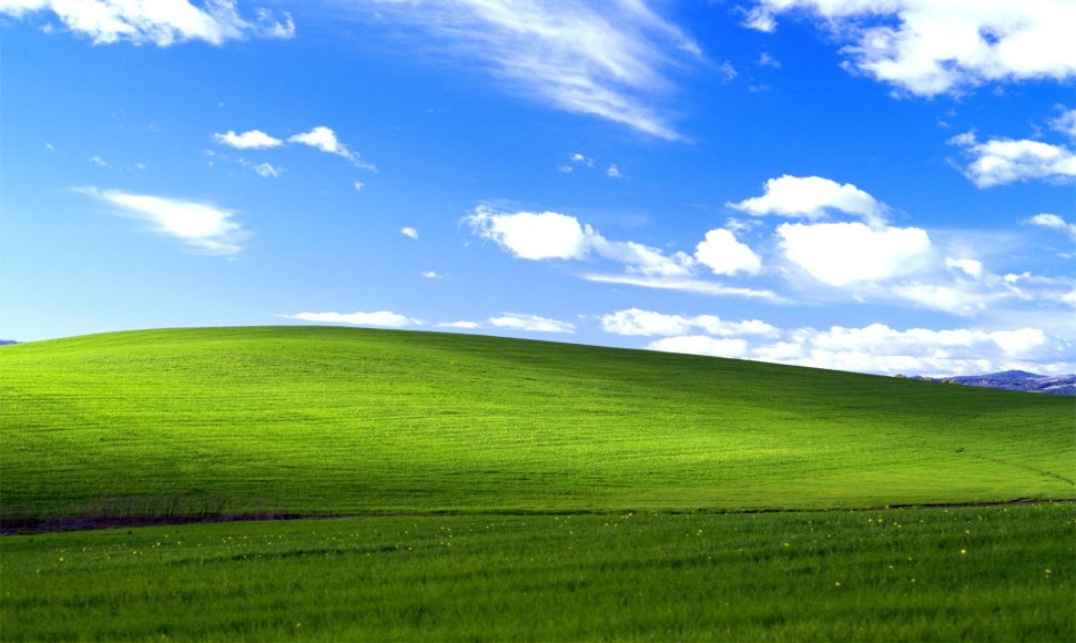 Nuotrauka „Palaima“ („Bliss“), tapusi „Windows XP“ darbalaukio fonu