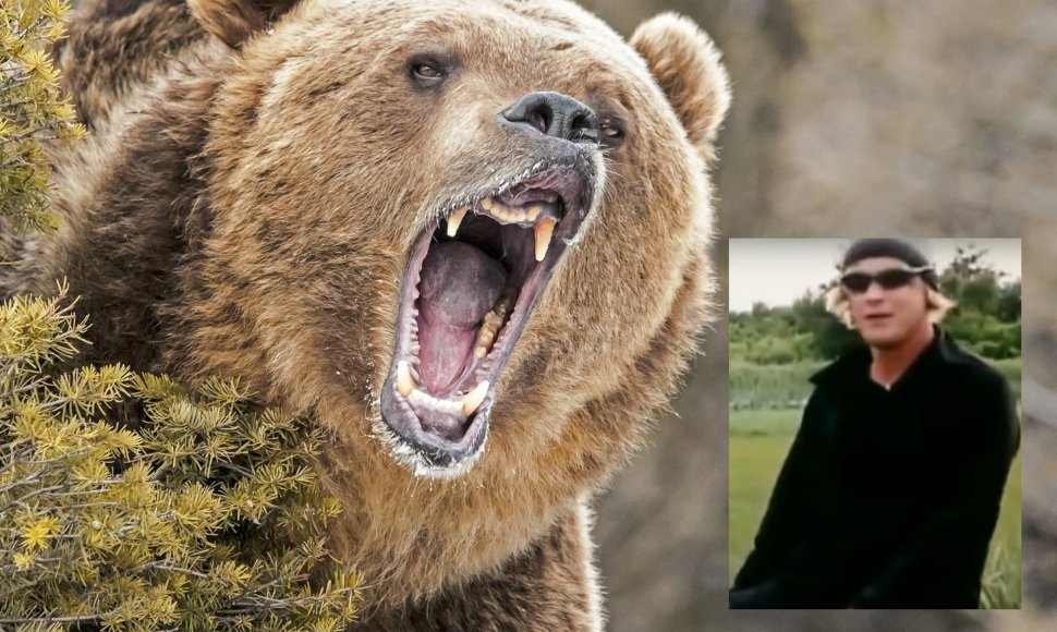 15min koliažas – Lokys ir Timothy Treadwell'as