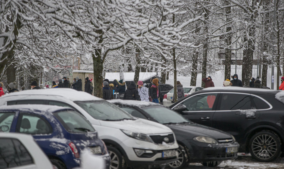 Žiemiškų linksmybių popietė Vilniuje