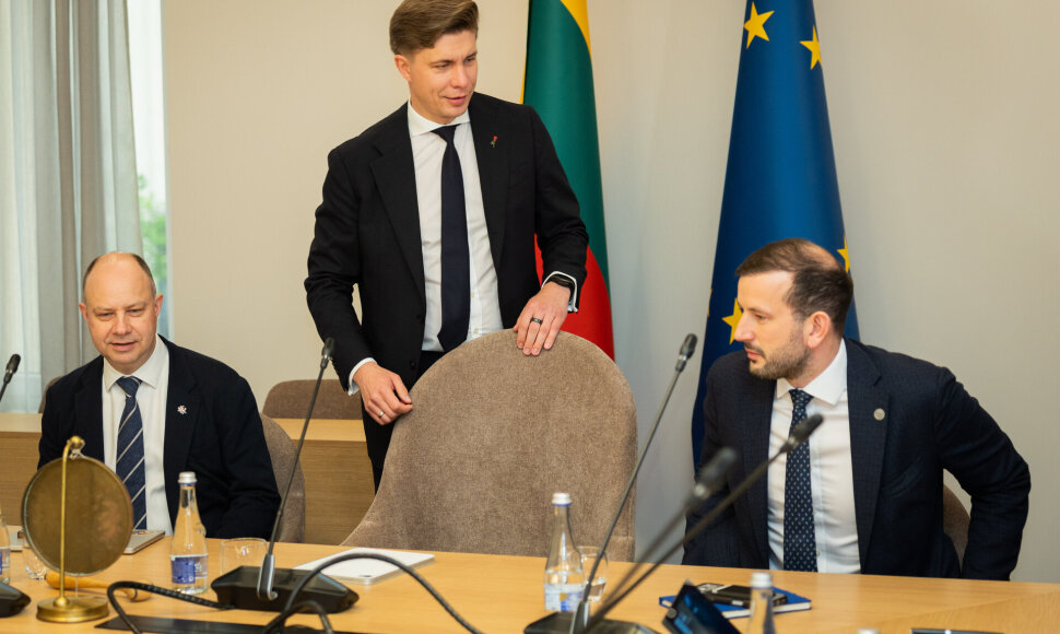 Socialdemokratų partijos, Lietuvos valstiečių ir žaliųjų sąjungos bei Demokratų sąjungos „Vardan Lietuvos“ atstovų derybos