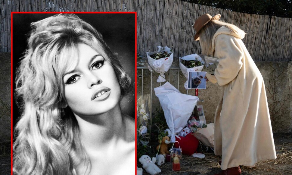 Brigitte Bardot