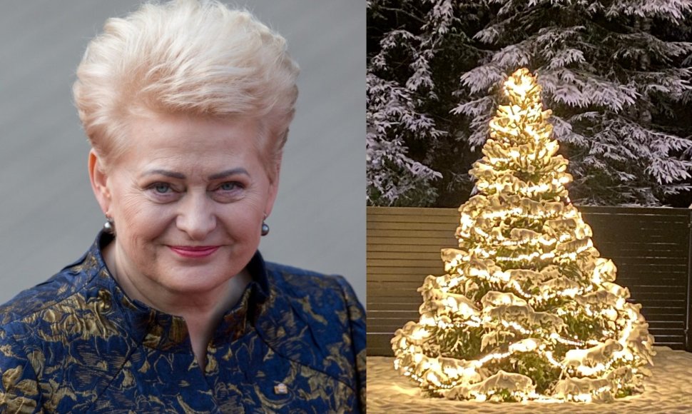 Dalios Grybauskaitės eglutė