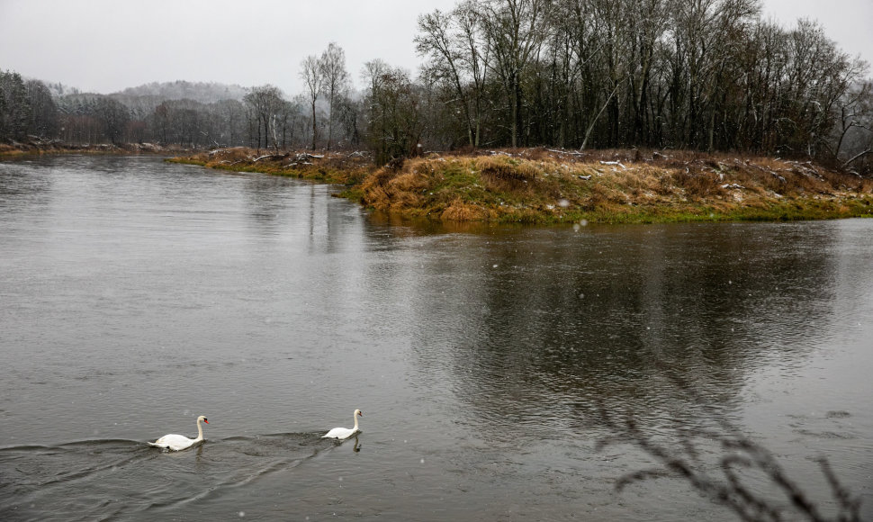 Lengva sniego paklotė apdengė Neries regioninį parką