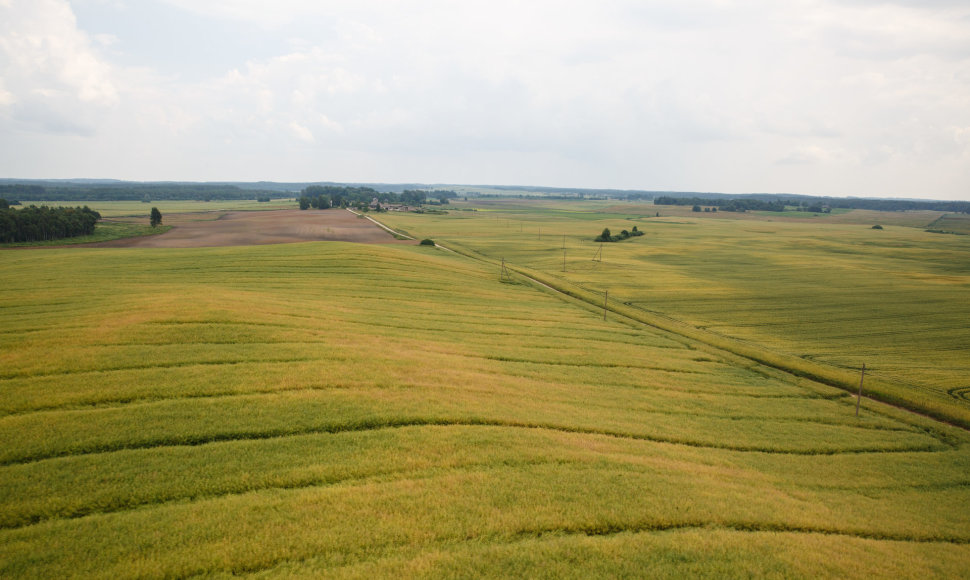 Tytuvėnų apžvalgos bokštas