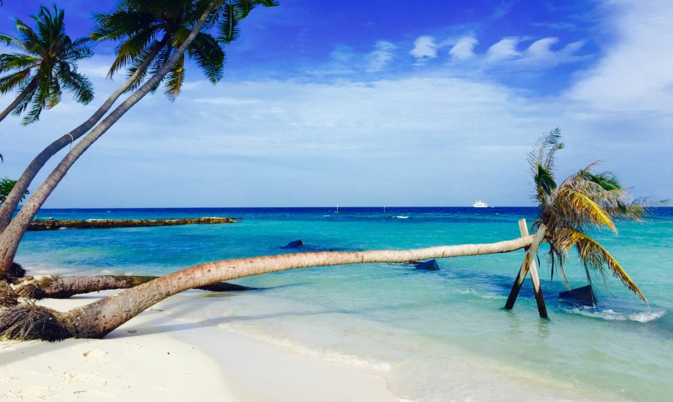 Maafushi sala ir jos paplūdimys