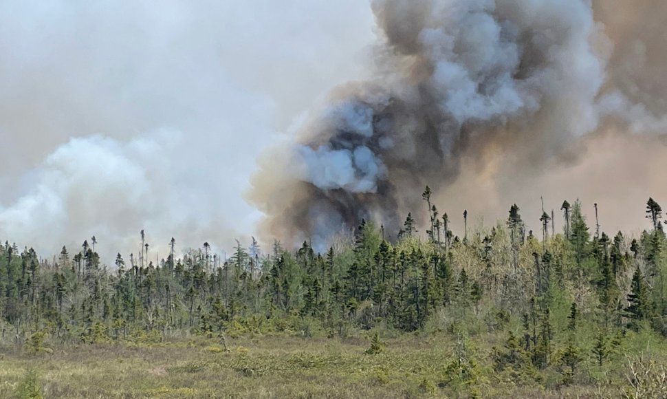 Miško gaisras Kanadoje