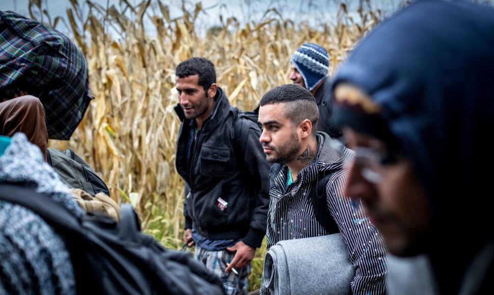 Migrantai Serbijos - Kroatijos pasienyje