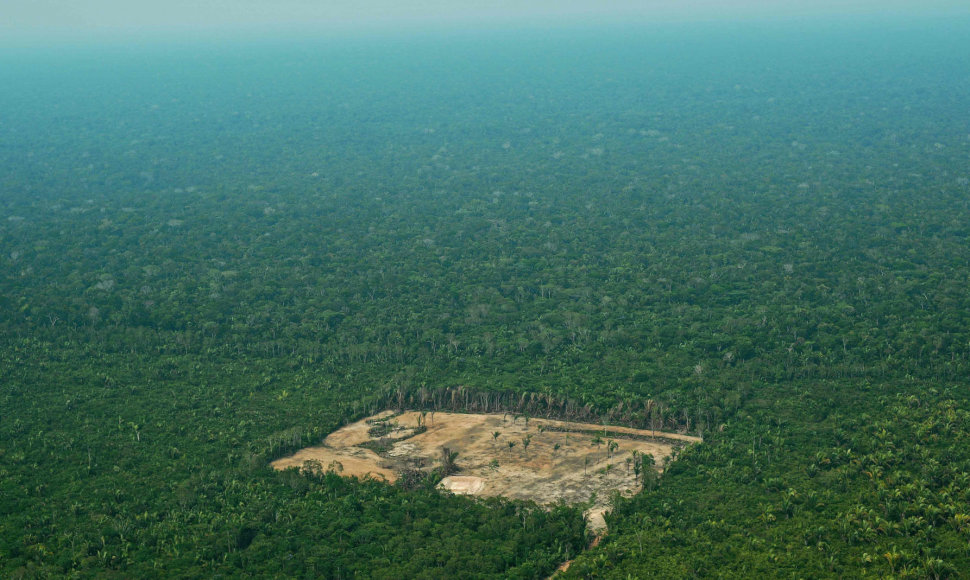 Medžių kirtimas Amazonėje