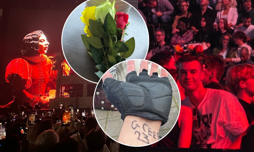 Dainiaus Frišmanto akimirkos iš Lady Gagos koncerto Stokholme