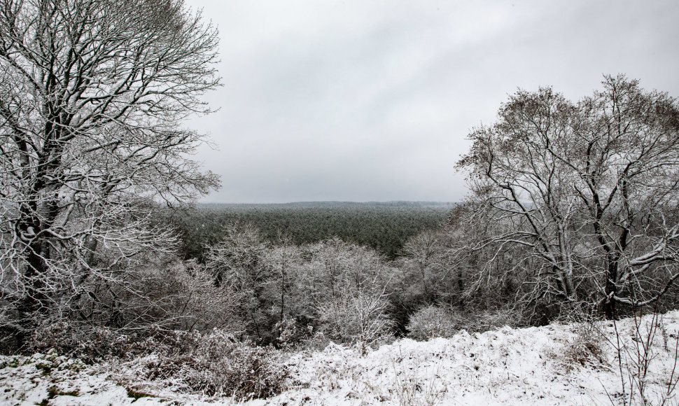 Lengva sniego paklotė apdengė Neries regioninį parką