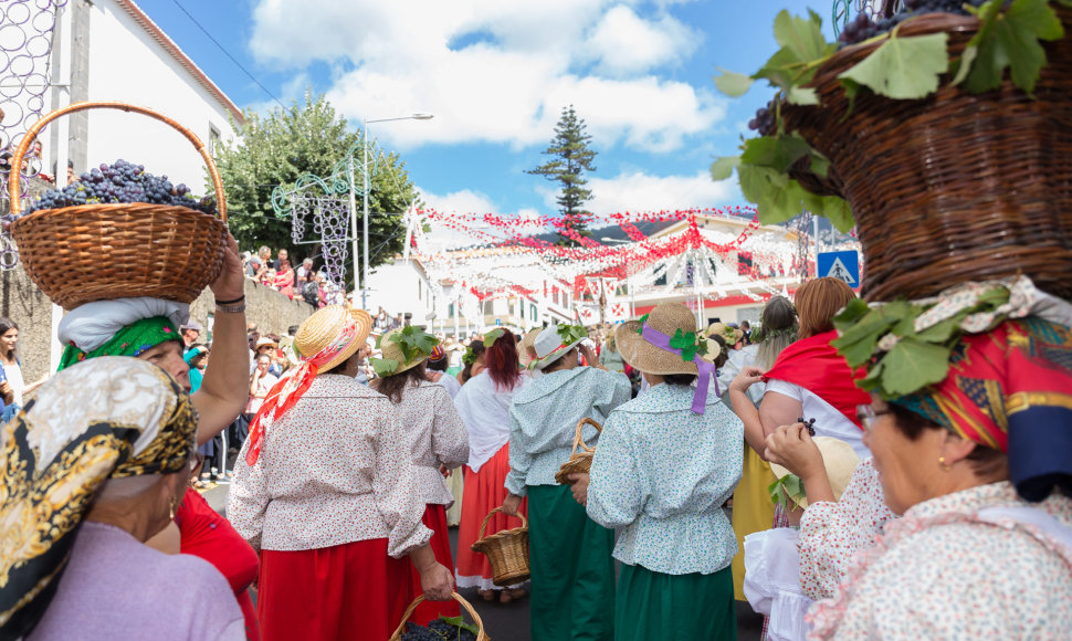 Vyno festivalis