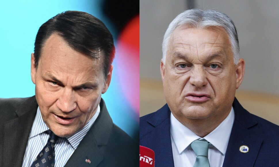 Radoslawas Sikorskis ir Viktoras Orbanas
