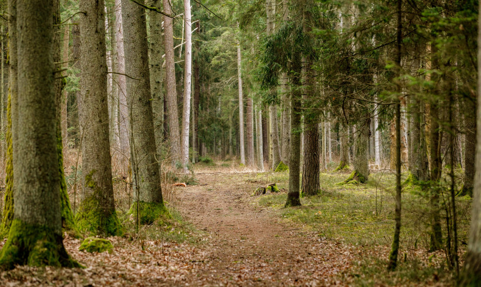 Paštuvos valstybinis botatinis draustinis