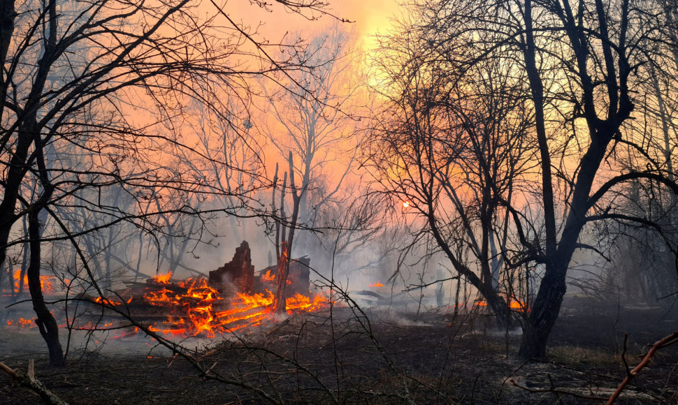 Miško gaisras Černobylio elektrinės zonoje.
