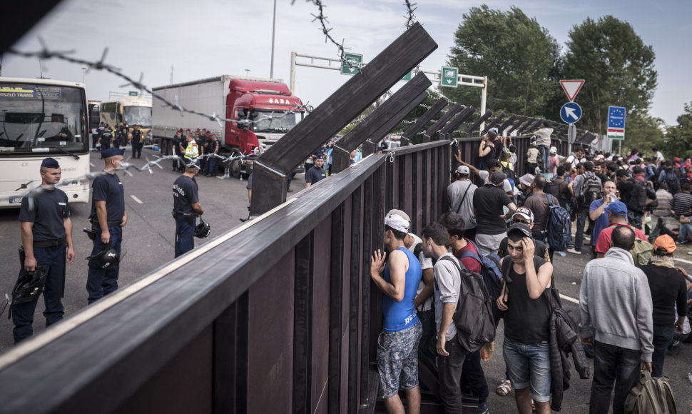 Pabėgėliai prie Vengrijos sienos