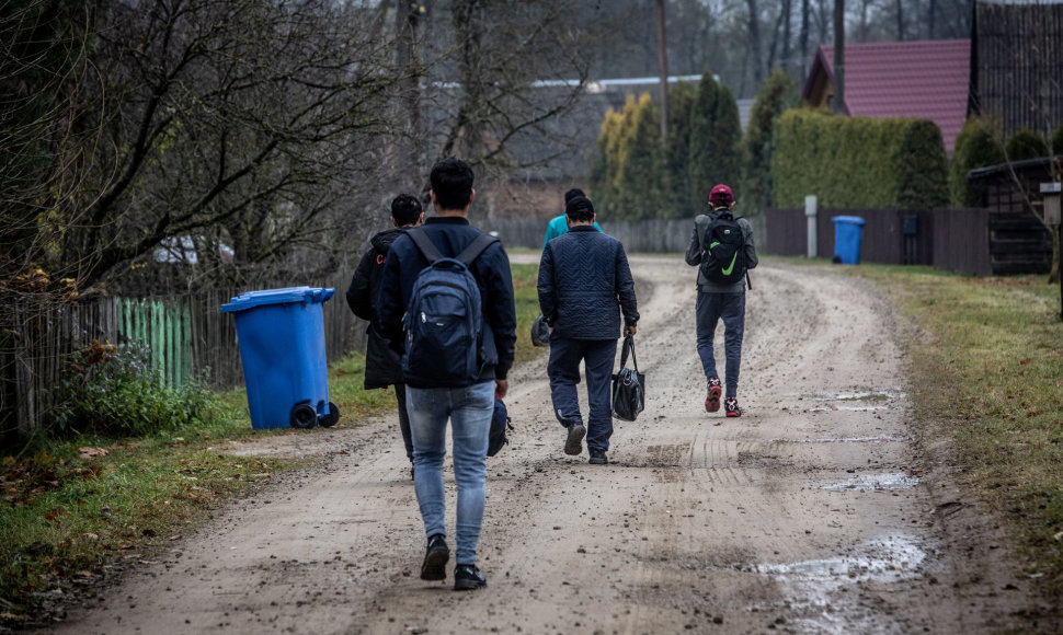 Migrantai, nelegaliai patekę į Lietuvą, eina per Musteikos kaimą (Varėnos r.) 