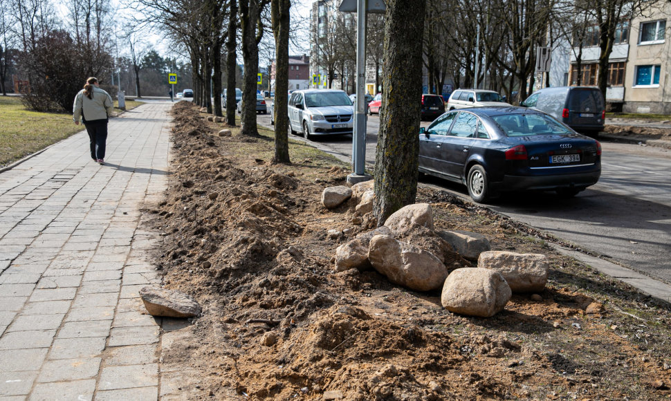 Lazdynuose tvarkant apšvietimą pažeistos daugybės medžių šaknys