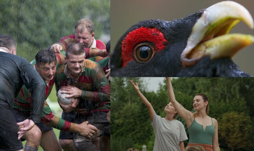 Kadrai iš filmų „Pietinia Kronikas“, „Sesės“, „Sengirė“