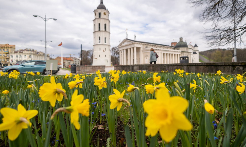 Vilnius