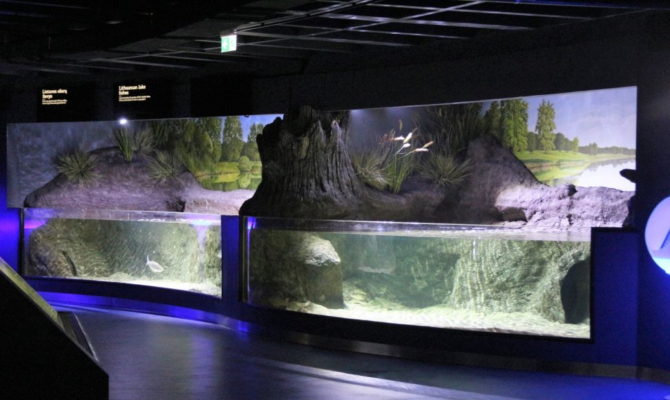 Iš pagrindų atnaujintas Lietuvos jūrų muziejaus akvariumas kviečia naujai pažinti povandeninį pasaulį.