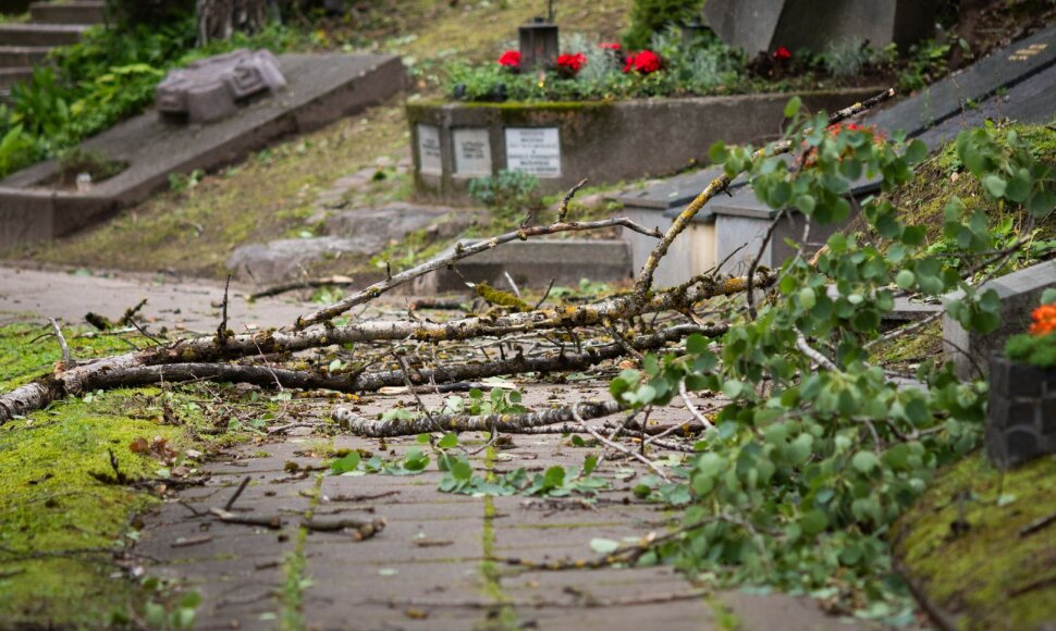 Audros padariniai Sapiegų parke ir Antakalnio kapinėse