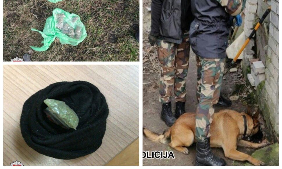 Smūgis Tauragės narkomafijai