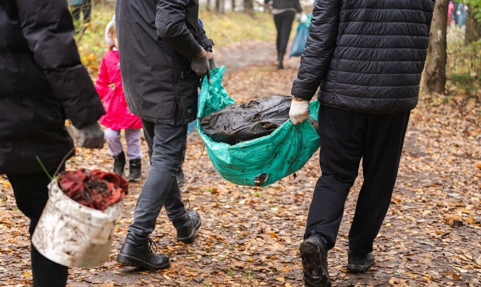 Statybinės atliekos gamtoje