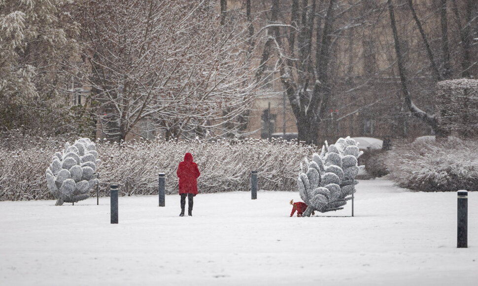 Vilnius
