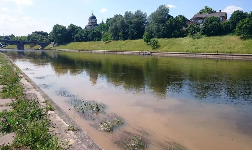 Teršalai Neryje tiesiai prieš Seimo rūmus?