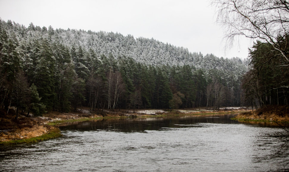 Lengva sniego paklotė apdengė Neries regioninį parką