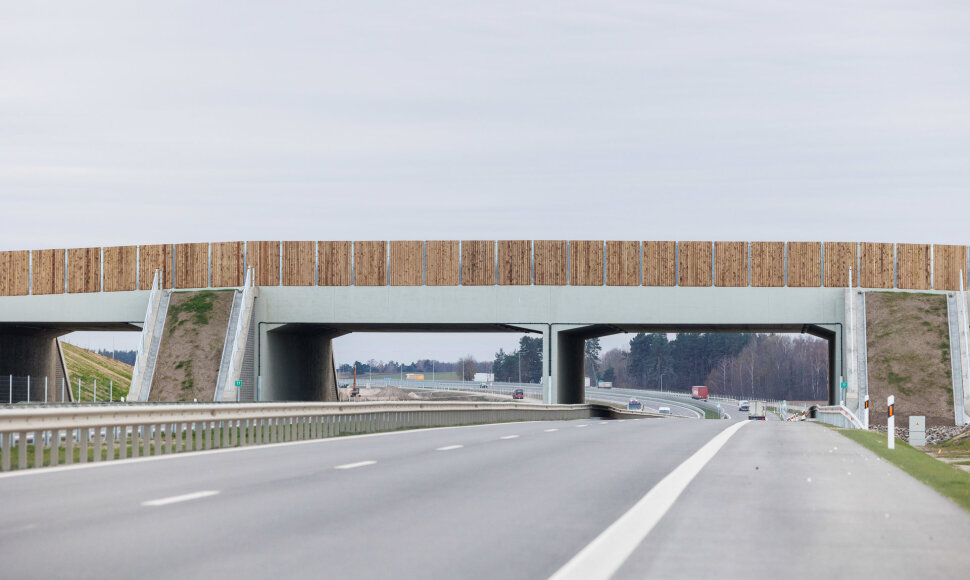 Žvėrių tiltas virš automagistralės A5