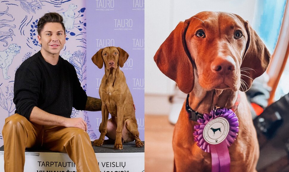 Kenas Katis, kalytė Lulu