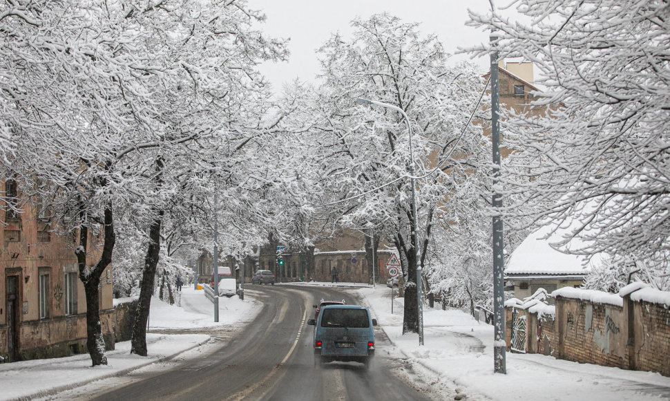 Snieguota žiema Vilniuje