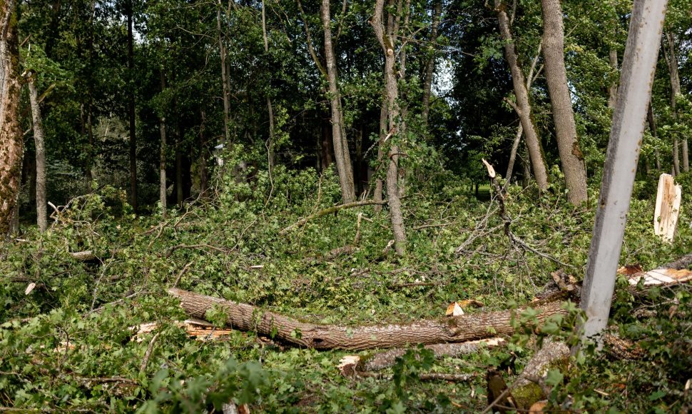 Paneriai šalia Vievio bando atsigauti po dar nematytos audros