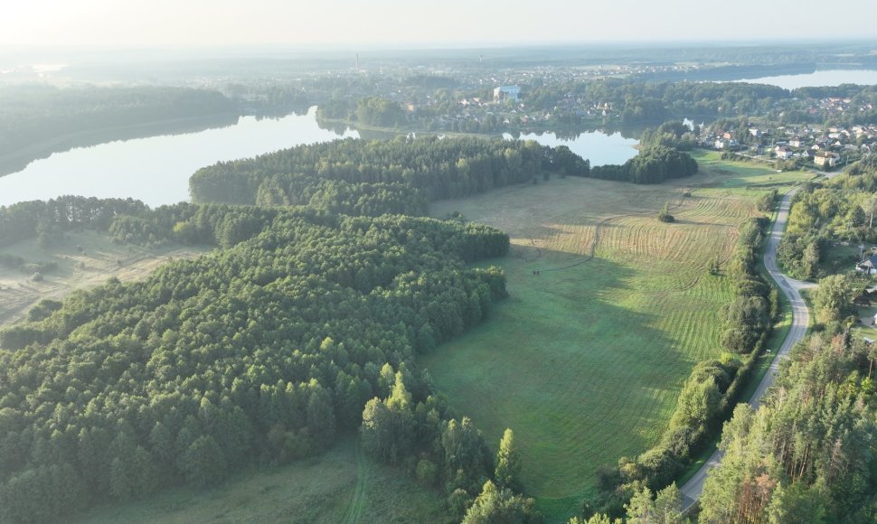 Ančios šiaurinė apyežerė po gamtotvarkos darbų 2024 m. 