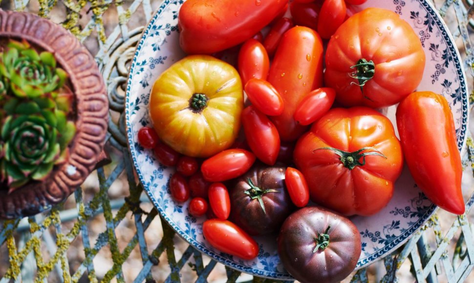 Įvairių rūšių pomidorai